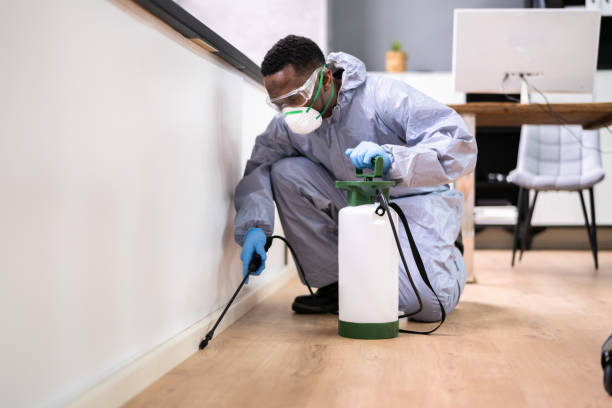 Best Fumigation Services  in Thompsonville, PA